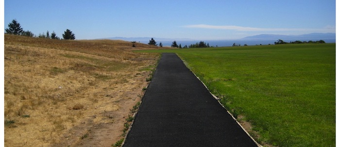 Lawn Care During Drought