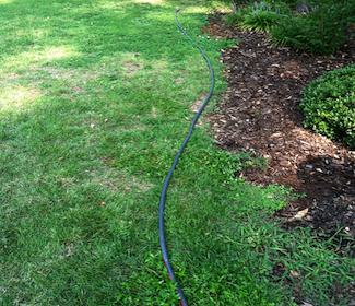 Use a Hose To Layout Beds