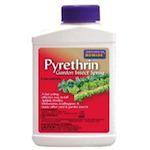 Pyrethrin Powder