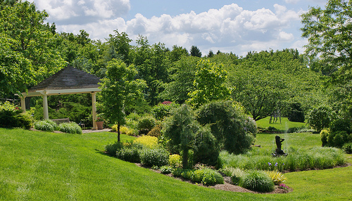 Planting Beds