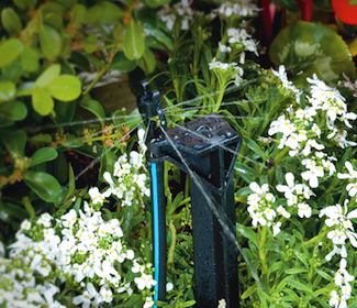 Outdoor Water Conservation